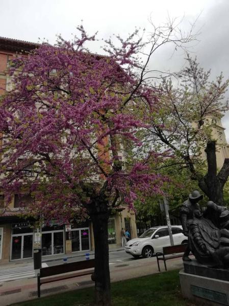 Envíanos la imagen por Whatsapp al número 687 04 00 98, indicando el lugar en el que están realizadas y el autor de las fotografías.