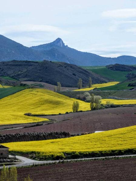 Envíanos la imagen por Whatsapp al número 687 04 00 98, indicando el lugar en el que están realizadas y el autor de las fotografías.