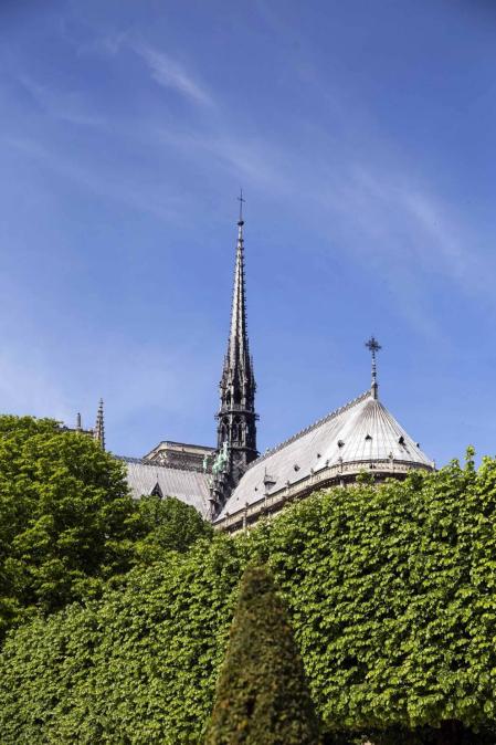 Imágenes de la catedral de Notre Dame de París antes del incendio que ha conmocionado al mundo