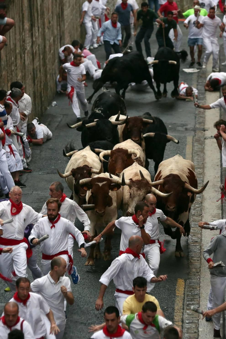 Fotos de Diario de Navarra de los mejores momentos de los encierros de San Fermín de 2018