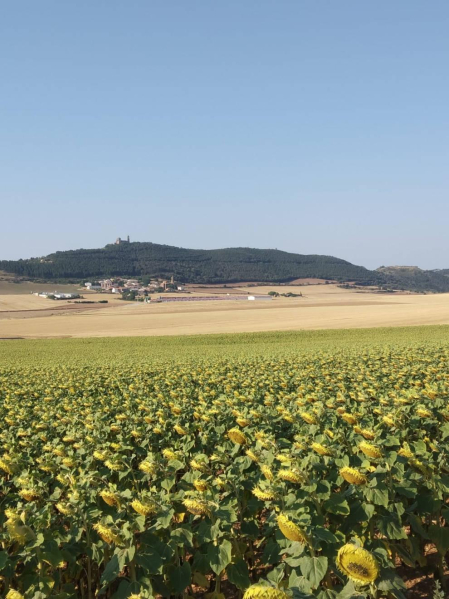 El verano, retratados por los lectores de Diario de Navarra