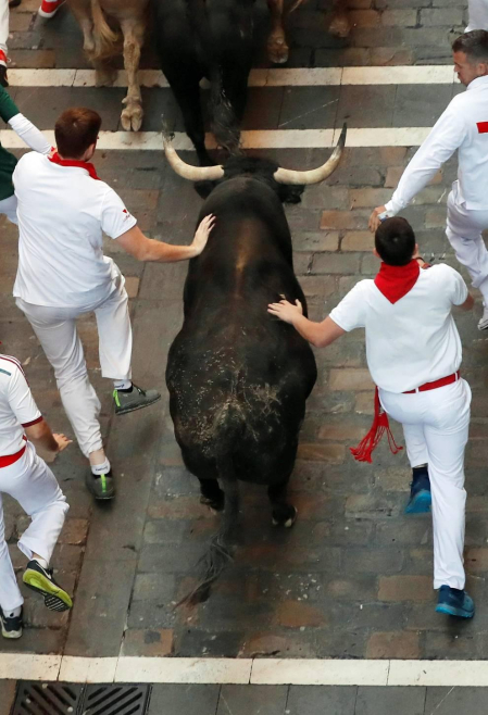 Imágenes del sexto encierro de los sanfermines 2019 protagonizado por toros de Núñez del Cuvillo.