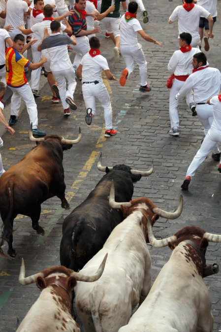 Imágenes del séptimo encierro de los Sanfermines 2019 protagonizado por toros de La Palmosilla.