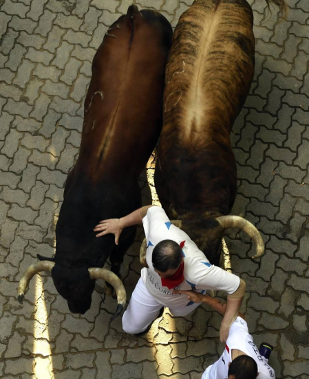 Imágenes del séptimo encierro de los Sanfermines 2019 protagonizado por toros de La Palmosilla.