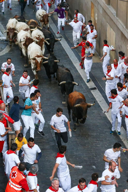 Imágenes del séptimo encierro de los Sanfermines 2019 protagonizado por toros de La Palmosilla.