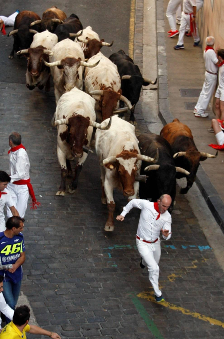 Imágenes del séptimo encierro de los Sanfermines 2019 protagonizado por toros de La Palmosilla.