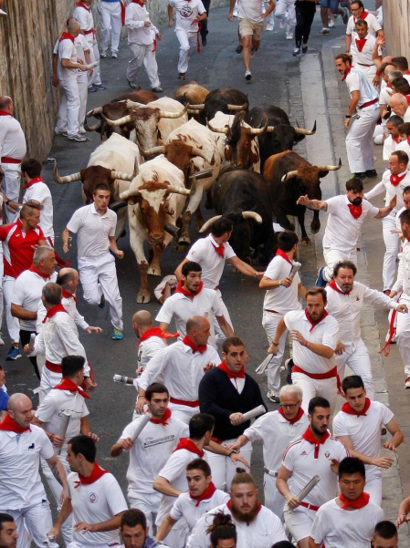 Imágenes del séptimo encierro de los Sanfermines 2019 protagonizado por toros de La Palmosilla.