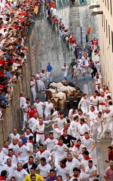 Imágenes del séptimo encierro de los Sanfermines 2019 protagonizado por toros de La Palmosilla.