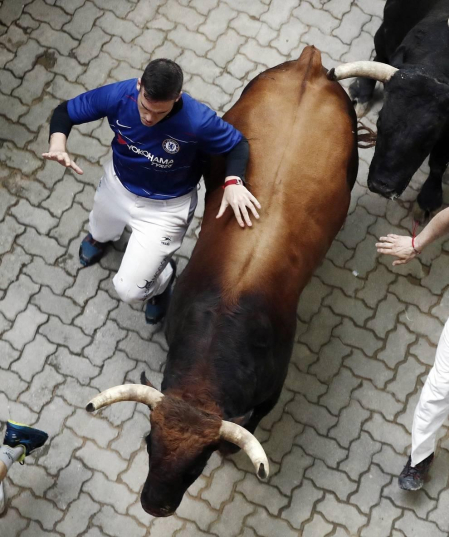 Imágenes del séptimo encierro de los Sanfermines 2019 protagonizado por toros de La Palmosilla.