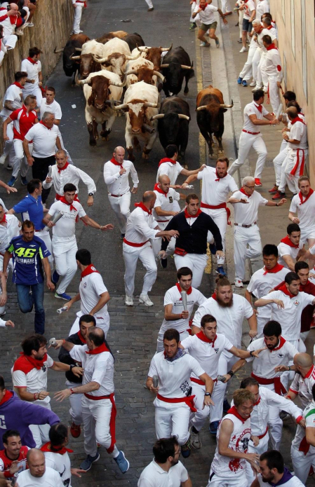 Imágenes del séptimo encierro de los Sanfermines 2019 protagonizado por toros de La Palmosilla.