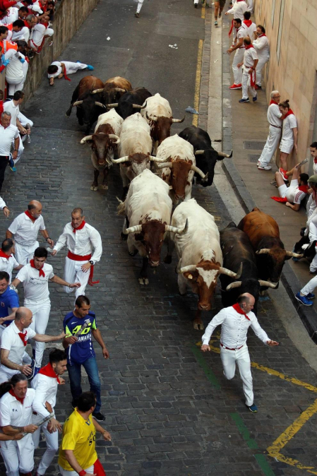Imágenes del séptimo encierro de los Sanfermines 2019 protagonizado por toros de La Palmosilla.