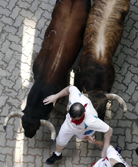 Imágenes del séptimo encierro de los Sanfermines 2019 protagonizado por toros de La Palmosilla.