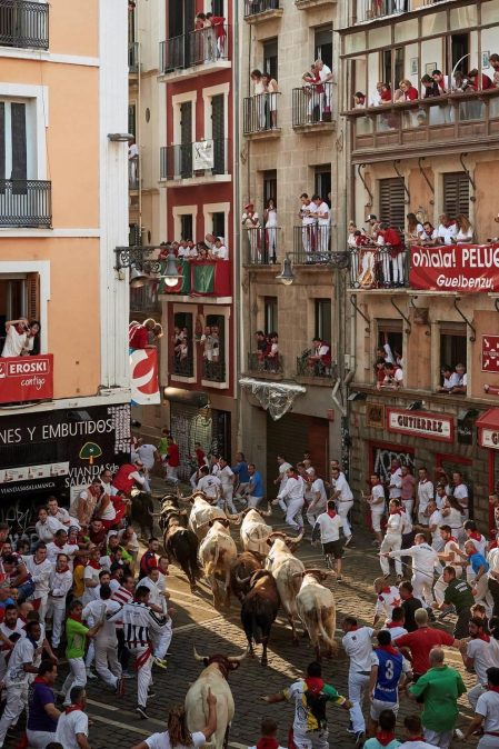 Imágenes del séptimo encierro de los Sanfermines 2019 protagonizado por toros de La Palmosilla.