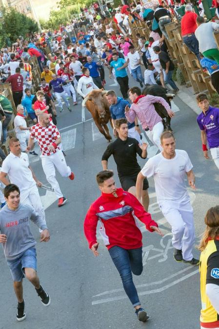 Todas las fotos del cuarto encierro de fiestas de Tudela 2019