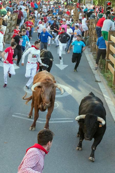 Todas las fotos del cuarto encierro de fiestas de Tudela 2019
