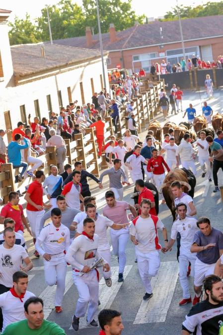 Todas las fotos del cuarto encierro de fiestas de Tudela 2019