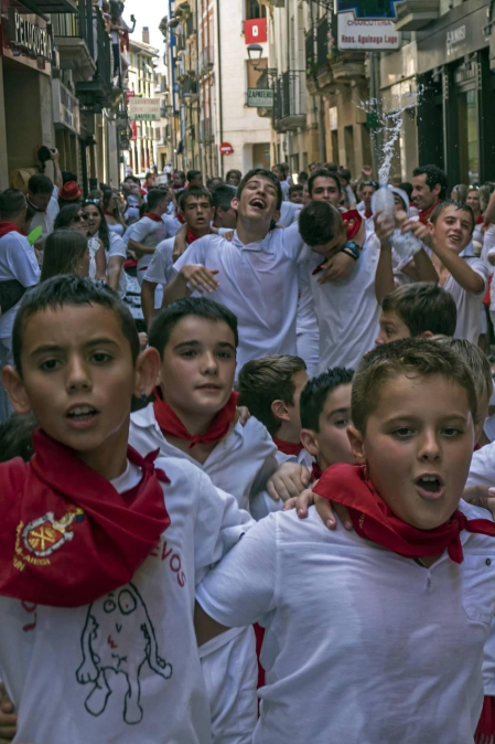 Todas las fotos de la pañuelada de fiestas de Estella 2019 en Diario de Navarra