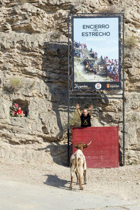 Todas las fotos del encierro del Estrecho de Arguedas 2019 en Diario de Navarra