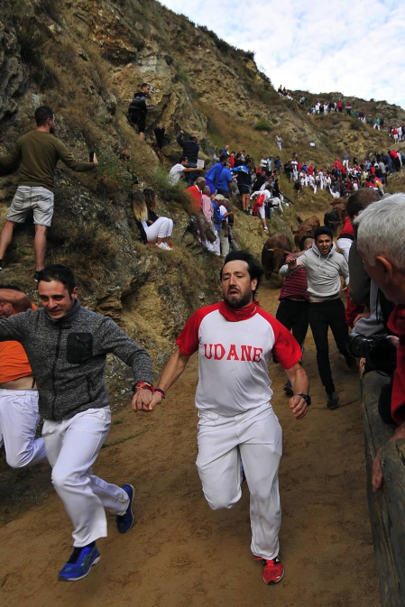 Todas las fotos del encierro del día 11 de agosto de del Pilón de Falces, una carrera que duró dos minutos y 15 segundos.