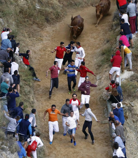 Todas las fotos del encierro del día 11 de agosto de del Pilón de Falces, una carrera que duró dos minutos y 15 segundos.