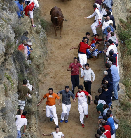 Todas las fotos del encierro del día 11 de agosto de del Pilón de Falces, una carrera que duró dos minutos y 15 segundos.