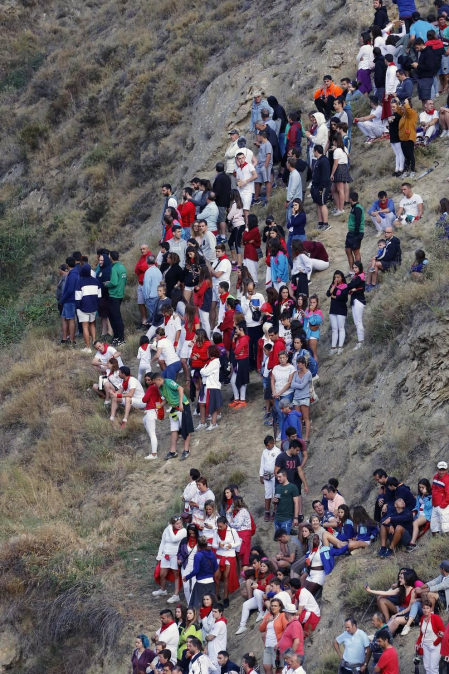 Todas las fotos del encierro del día 11 de agosto de del Pilón de Falces, una carrera que duró dos minutos y 15 segundos.