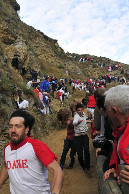 Todas las fotos del encierro del día 11 de agosto de del Pilón de Falces, una carrera que duró dos minutos y 15 segundos.