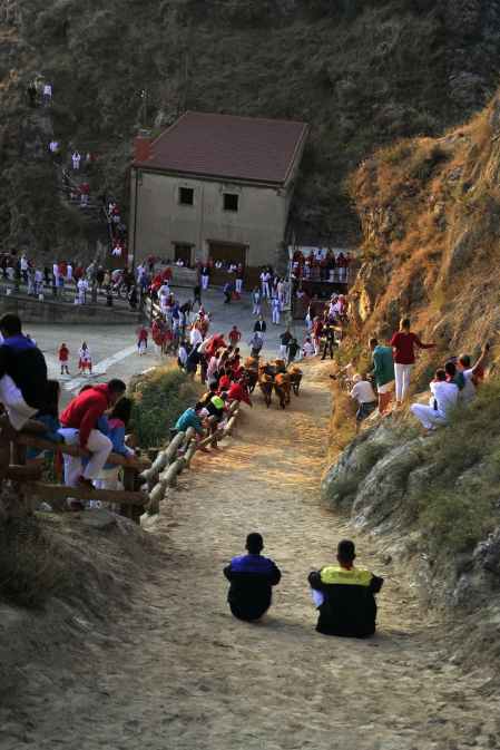 Este lunes Falces ha acogido el segundo encierro del Pilón de las fiestas de este 2019.