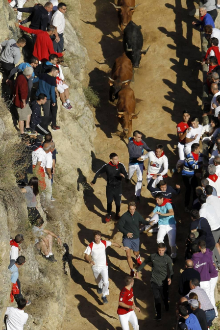Todas las fotos del encierro del día 14 de agosto de del Pilón de Falces.