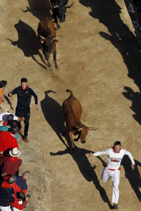 Todas las fotos del encierro del día 14 de agosto de del Pilón de Falces.