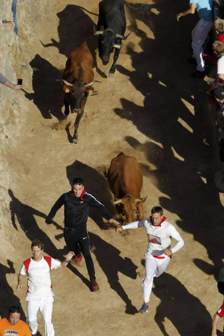 Todas las fotos del encierro del día 14 de agosto de del Pilón de Falces.
