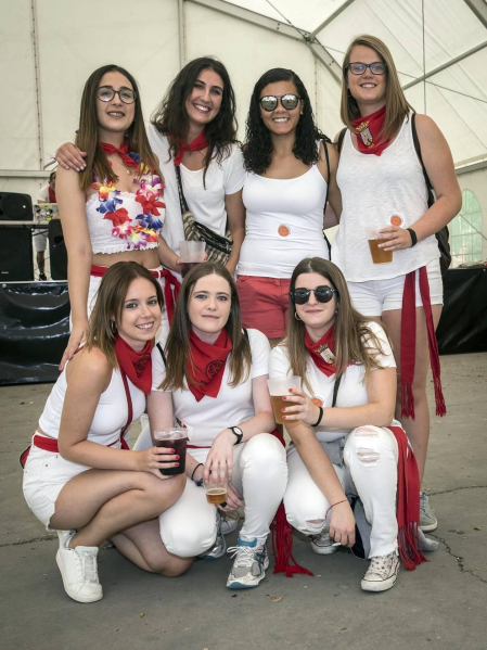 Fiestas de Lerín 2019