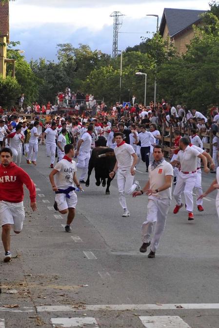Todas las fotos del segundo día de siestas de Tafalla. 15 de agosto 2019