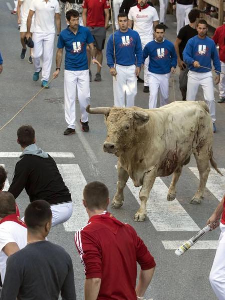 Todas las fotos de las fiestas de Tafalla 2019