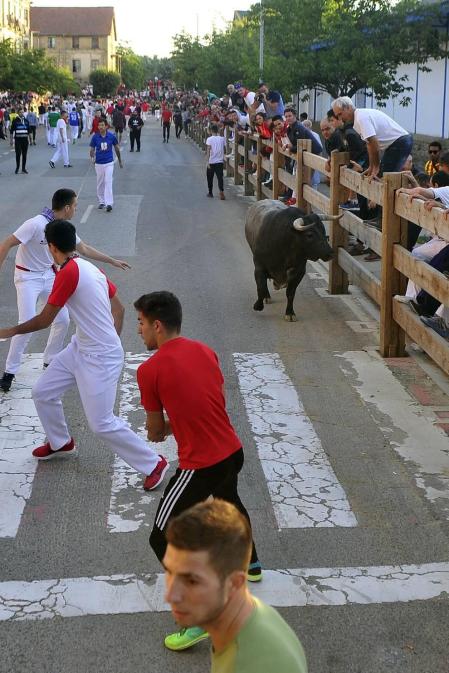 Todas las fotos del segundo encierro de fiestas de Tafalla 2019 en Diario de Navarra