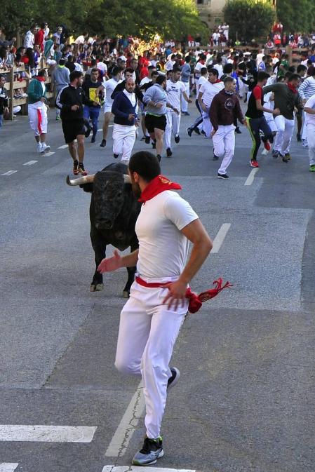 Todas las fotos del segundo encierro de fiestas de Tafalla 2019 en Diario de Navarra