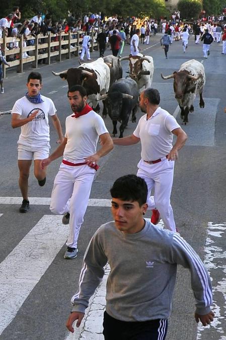 Todas las fotos del segundo encierro de fiestas de Tafalla 2019 en Diario de Navarra