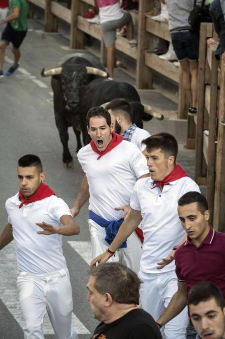 Todas las fotos del segundo encierro de fiestas de Tafalla 2019 en Diario de Navarra