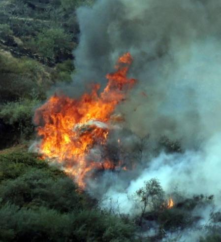 El incendio de Gran Canaria se descontrola y amenaza el parque natural de Tamadaba
