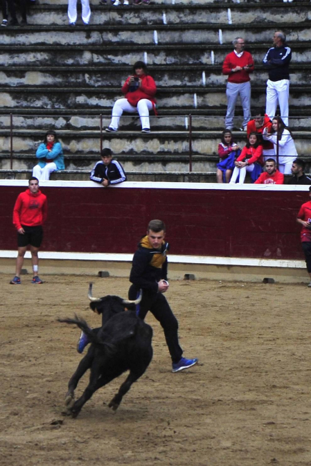 Todas las fotos del 20 de agosto de las Fiestas de Tafalla 2019 en el Diario de Navarra