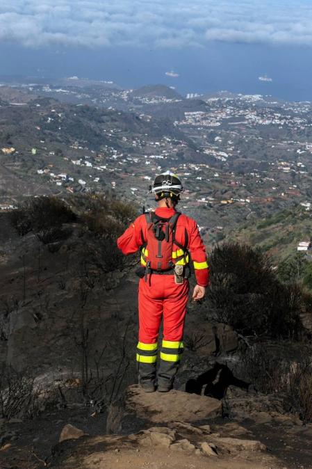 Zona afectada por el fuego de Gran Canaria