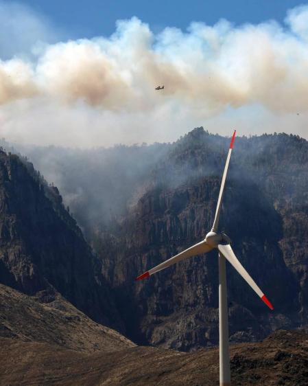 Zona afectada por el fuego de Gran Canaria
