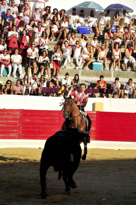 Todas las fotos del encierro del día 3 de septiembre de fiestas de Peralta, del sorteo de toros y de la corrida de rejones