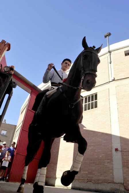 Todas las fotos del encierro del día 3 de septiembre de fiestas de Peralta, del sorteo de toros y de la corrida de rejones