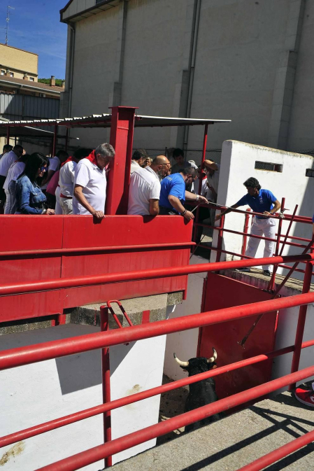 Todas las fotos del encierro del día 3 de septiembre de fiestas de Peralta y del sorteo de los toros