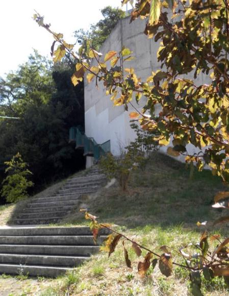 El informe elaborado por la asociación vecinal del barrio ha sido entregado a todos los concejales
