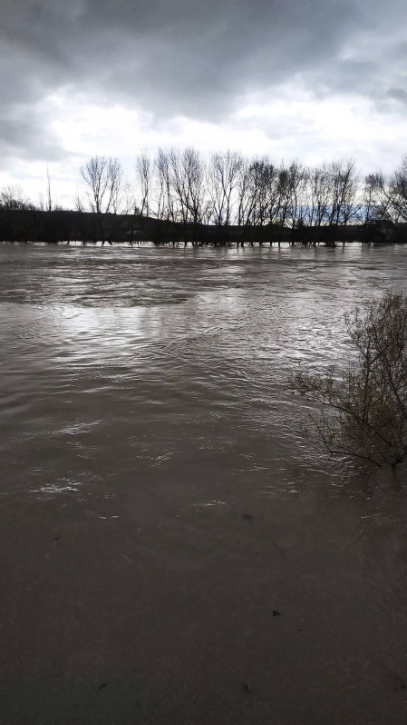 Fotos enviadas por los lectores de Diario de Navarra de las inundaciones de este viernes en Navarra.