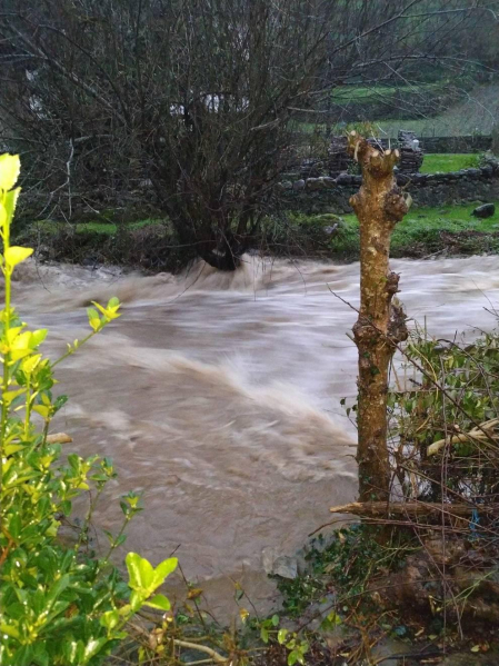 Fotos enviadas por los lectores de Diario de Navarra de las inundaciones de este viernes en Navarra.