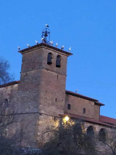 Fotos del invierno enviadas por los lectores de diariodenavarra.es