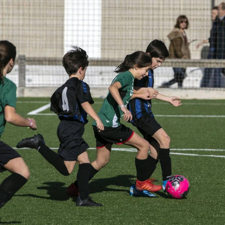 Fotos de partidos disputados el 28 de diciembre en la 38 edición del Torneo Interescolar Fundación Osasuna